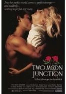 Two Moon Junction (1988)