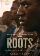 Roots (2016)