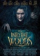 Into the Woods / Τα Μυστικά του Δάσους (2014)