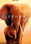 The Elephant Queen (2019)