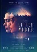 Little Woods (2018)