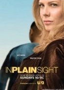 In Plain Sight (TV Series 2008–2012) 1,2,3,4,5η Σεζόν