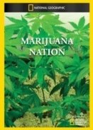 Marijuana Nation 2008