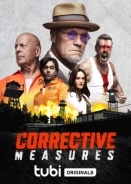 Corrective Measures (2022)