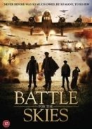 Angel of the Skies 2013