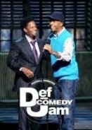 Def Comedy Jam 25 (2017)
