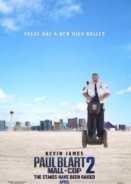 Paul Blart: Mall Cop 2 (2015)