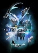 Υπερ/Φυσικό / Super/Natural (2022)