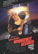 Wrongfully Accused  (1998)