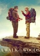 A Walk in the Woods (2015)