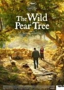 Η Άγρια Αχλαδιά / The Wild Pear Tree (2018)