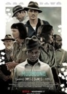 Mudbound (2017)