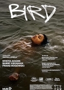 Bird (2024)