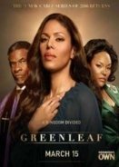 Greenleaf (2016-2017) TV Series