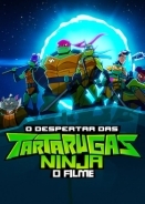 Χελωνονιντζακια - Η Ανοδοσ: Η Ταινια / Rise of the Teenage Mutant Ninja Turtles (2022)
