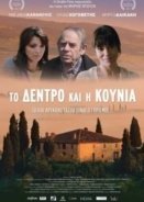 The Tree and the Swing 2013