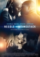 Needle in a Timestack (2021)
