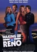 Ζευγάρια σε Διακοπές / Waking Up in Reno (2002)