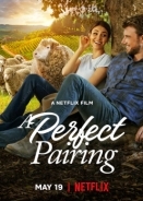 Ο Τελειοσ Συνδυασμοσ / A Perfect Pairing (2022)