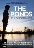 The Ponds (2018)