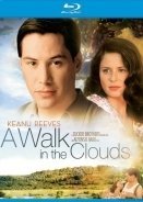 A Walk in the Clouds (1995)