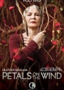 Petals on the Wind (2014)