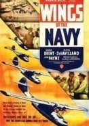 Wings of the Navy (1939)