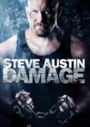 Damage 2009