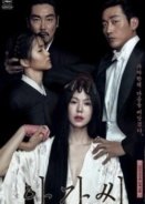 The Handmaiden 2016