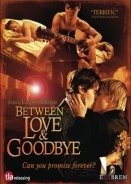 Between Love and Goodbye 2008