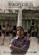 Carpinteros / Woodpeckers (2017)