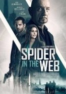 Δίκτυο Κατασκόπων / Spider in the Web (2019)