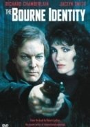 The Bourne Identity (Mini Series) (1988)