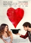 Waiting for Forever (2010)