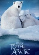 To the Arctic 3D 2012