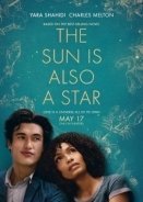 The Sun Is Also a Star (2019)