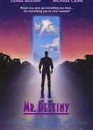 Mr Destiny (1990)