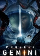 Project Gemini (2022)