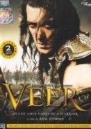 Veer (2010)