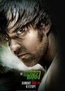 WWE Money in the Bank 2015