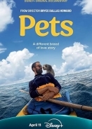 Pets (2025)