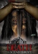 Death on Scenic Drive (2017)