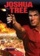 Joshua Tree (1993)