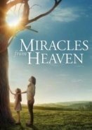 Miracles from Heaven 2016