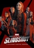 Agents of S.H.I.E.L.D.: Slingshot