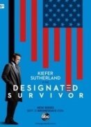 Designated Survivor (2016-2018)  TV Series