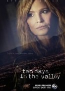 Ten Days in the Valley (2017)
