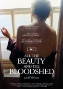 Όλη η ομορφιά και η αιματοχυσία / All the Beauty and the Bloodshed (2022)
