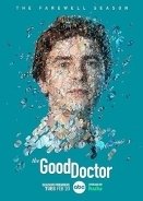 The Good Doctor (2017)