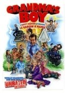 Συγκάτοικοι στην τρέλα / Grandma's Boy (2006)